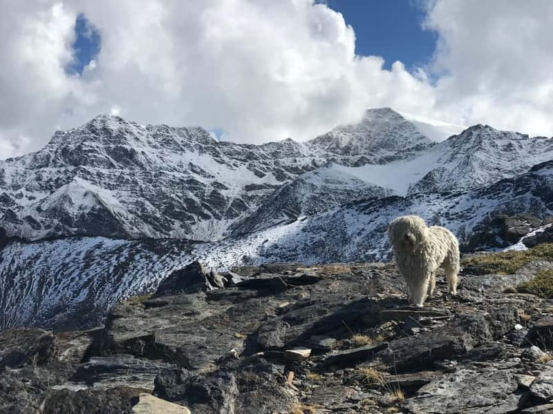 From Granada: High Sierra Nevada hiking experience - Who This Hike Suits (and Who Should Skip It)