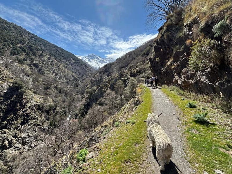 From Granada: High Sierra Nevada hiking experience - San Juan Valley: Why This Glacier Valley Feels So Otherworldly
