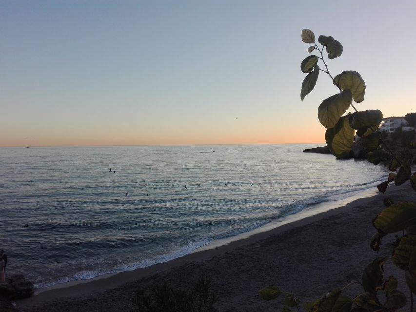 From Granada: Nerja & Frigiliana Day Trip - Nerja Caves: rock formations and an included ticket you’ll appreciate