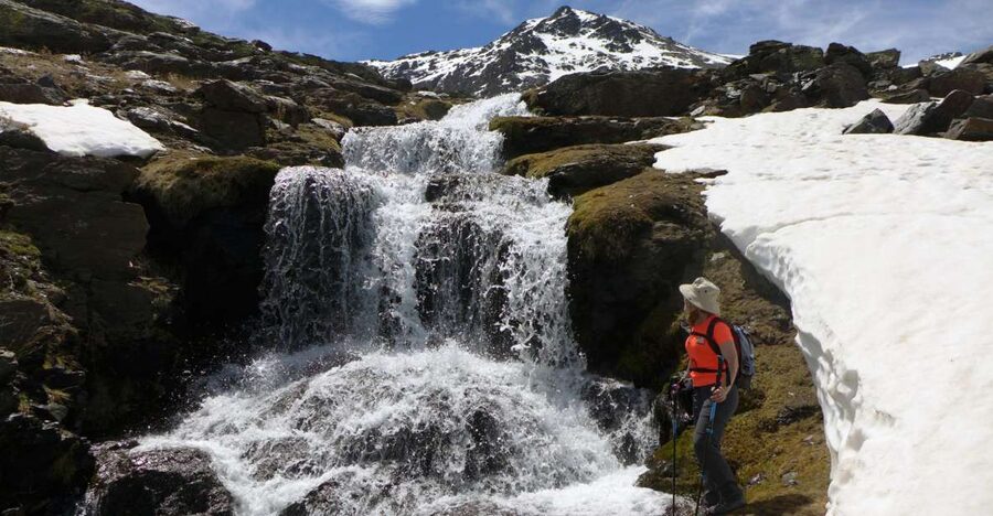 From Granada: Sierra Nevada Guided Day Trip - Key things you’ll notice on this Sierra Nevada day trip