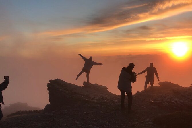 From Granada: Sierra Nevada Safari tour up to 2500 meters high - Granada to Sierra Nevada: why this safari-style day works