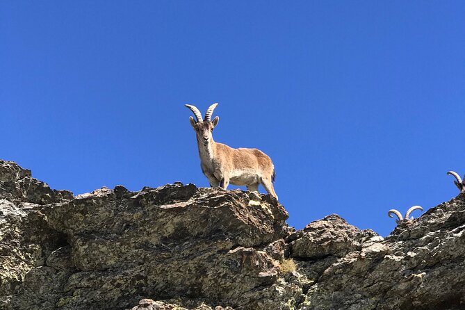 From Granada: Sierra Nevada Safari tour up to 2500 meters high - Season reality check: sun, wind, and snowline changes fast