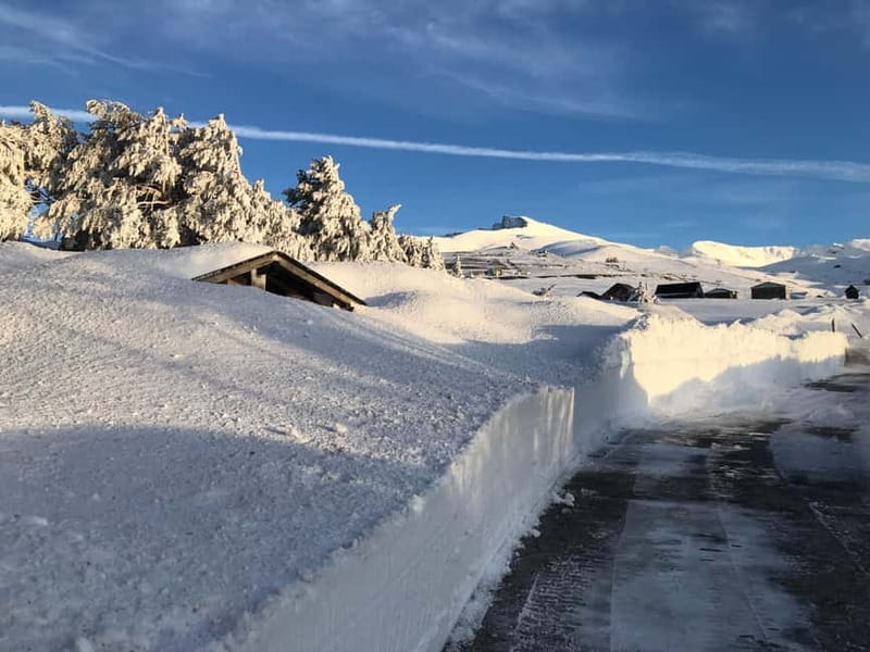 From Granada: Sierra Nevada Safari up to 2500 meters high - Key points