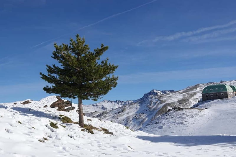 From Granada: Sierra Nevada Safari up to 2500 meters high - Small group size up to eight: why it feels personal with guides like Jaime or Daud