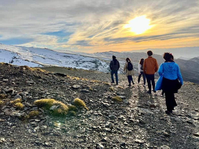 From Granada: Sierra Nevada Safari up to 2500 meters high - Timing and pacing: 6–7 hours that avoid the “one stop only” trap