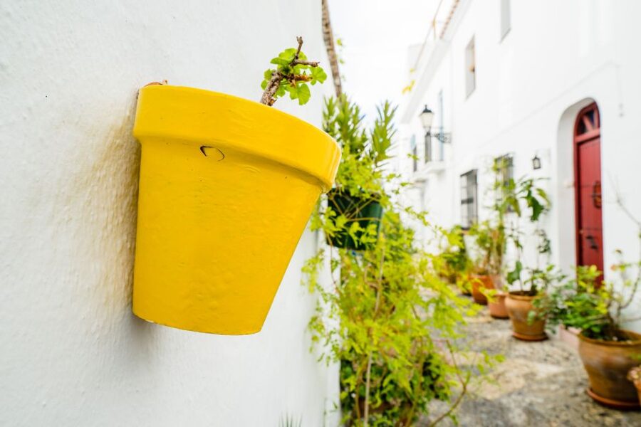 From Granada: Skip-the-Line Nerja Cave and Frigiliana - What your guide actually does (and why it matters)