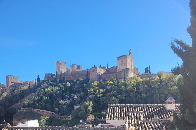 Gastronomic Route & Tasting Menu at the Viewpoints of Granada - What’s included to eat and drink: specific local products, not generic samples