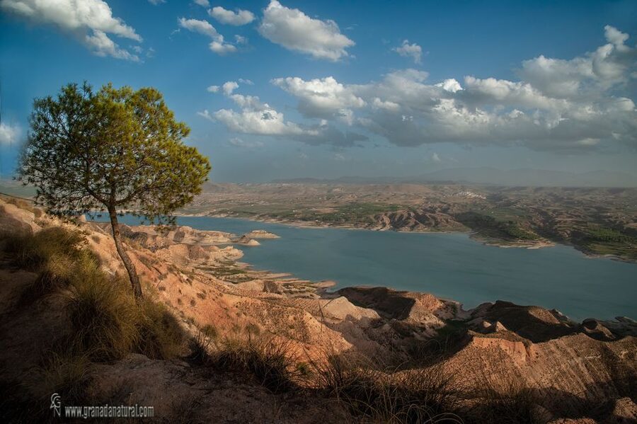Gorafe: Los Coloraos Desert 4x4 Tour - Pickup From Near Guadix and the Small-Group Advantage