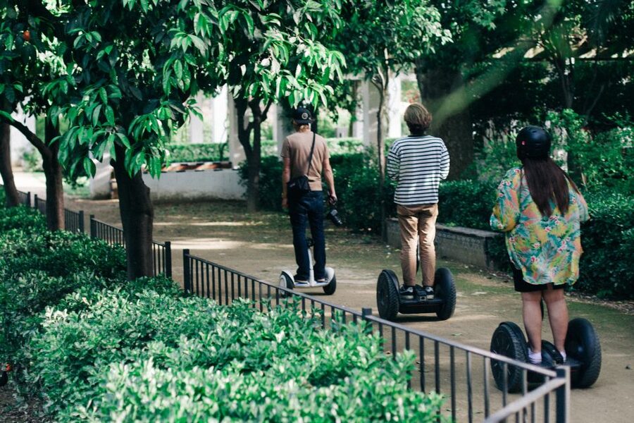 Granada: 1-Hour Panoramic Segway Tour - Price value for a $41, one-hour city overview