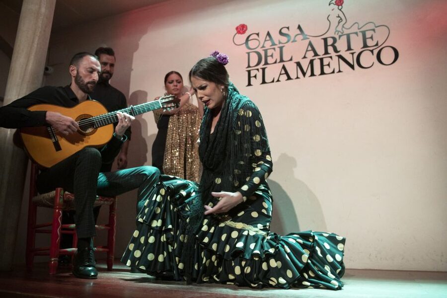 Granada: 1-Hour Traditional Flamenco Show - How to get more from your seat (without overthinking it)