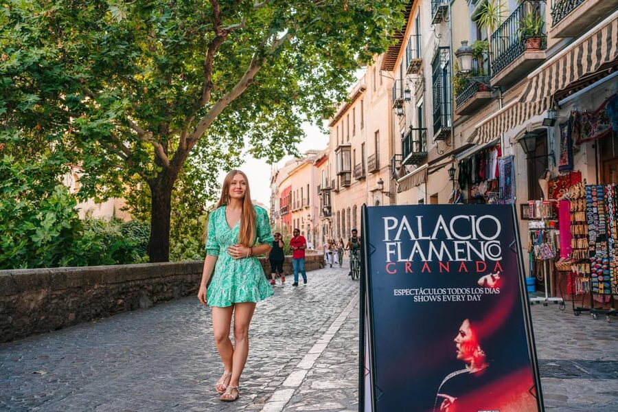 Granada: 1-Hour Traditional Flamenco Show at Palacio - Key Things I’d Put on Your Radar