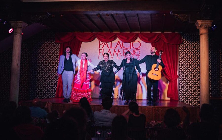 Granada: 1-Hour Traditional Flamenco Show at Palacio - Palacio Flamenco in Granada: A Straightforward 1-Hour Cultural Fix