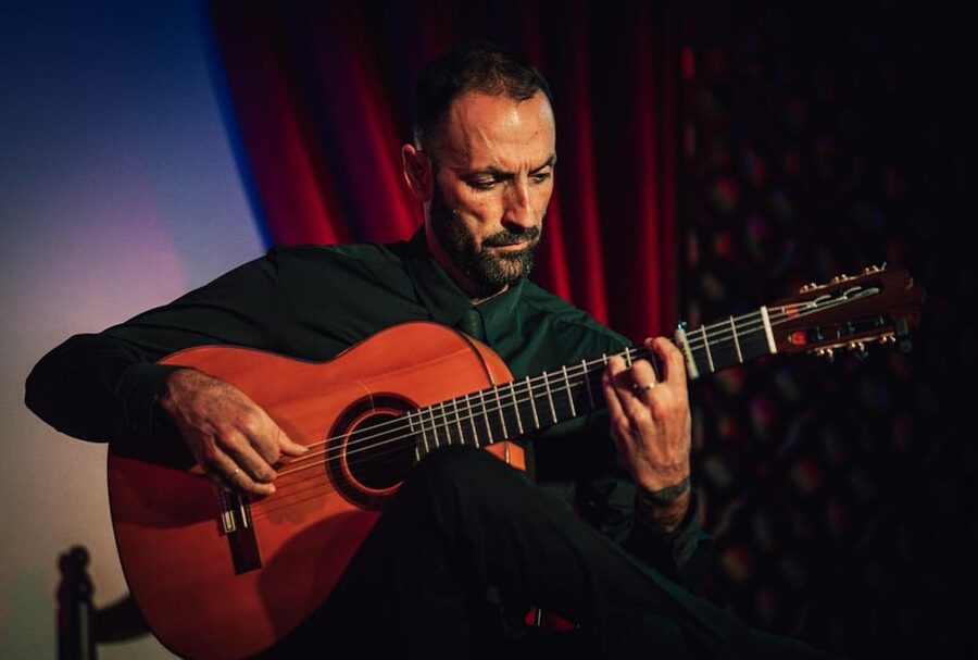 Granada: 1-Hour Traditional Flamenco Show at Palacio - The Artists: What You Might See This Week