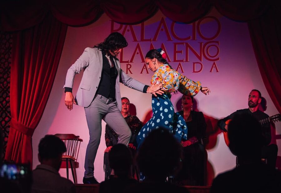 Granada: 1-Hour Traditional Flamenco Show at Palacio - Location and Arrival: Near Plaza Nueva, Then Into Palacio de los Olvidados