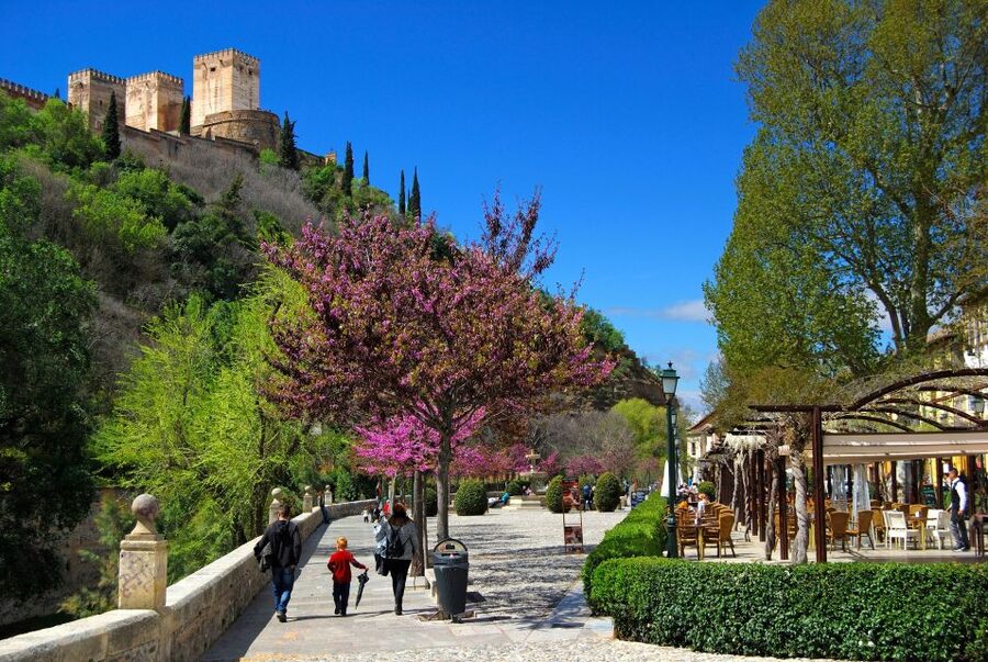 Granada: 2hour Tour of The Albaicín & Sacromonte Premium - Viewpoints over the Alhambra: plan for photo pauses