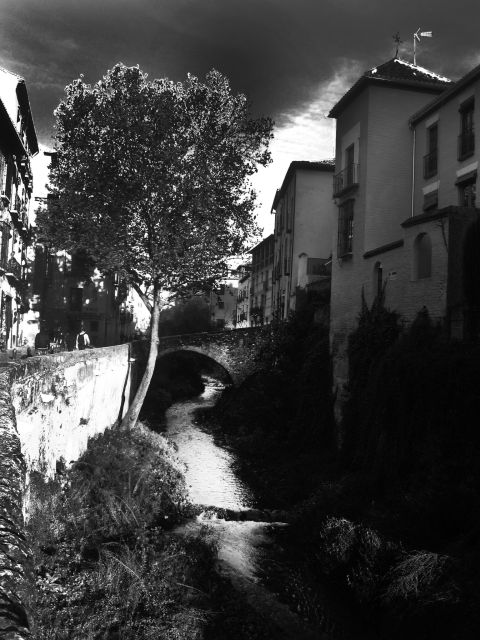 Granada Albaicín: 2.5-Hour Tapas & Drinks Walking Tour - Who should book this Granada Albaicín tapas walk