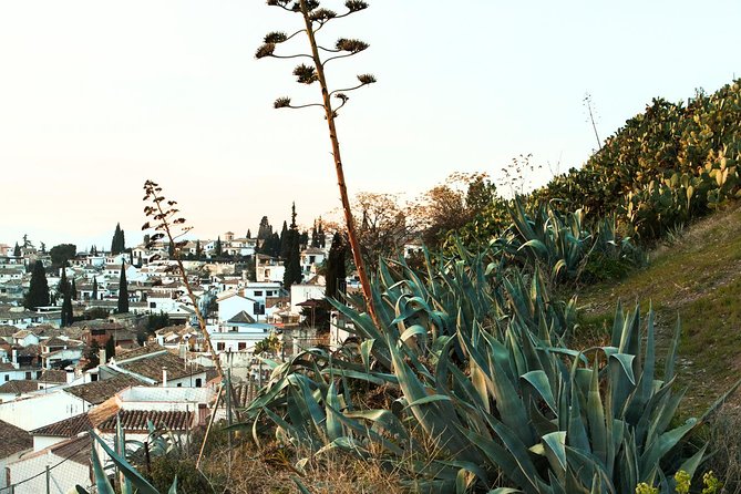 Granada: Albaicin and Sacromonte Private Tour - Camino del Sacromonte: caves, tradition, and the walk itself