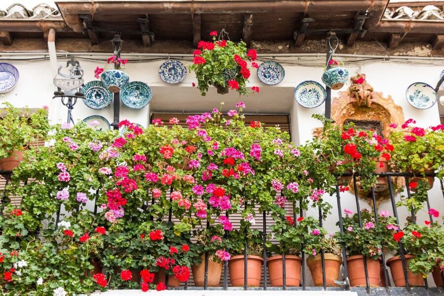 Granada: Albaicín and Sacromonte Walking Tour - Albaicín first: Plaza Nueva, Callejón del Aljibe de Trillo, and the art of not getting lost