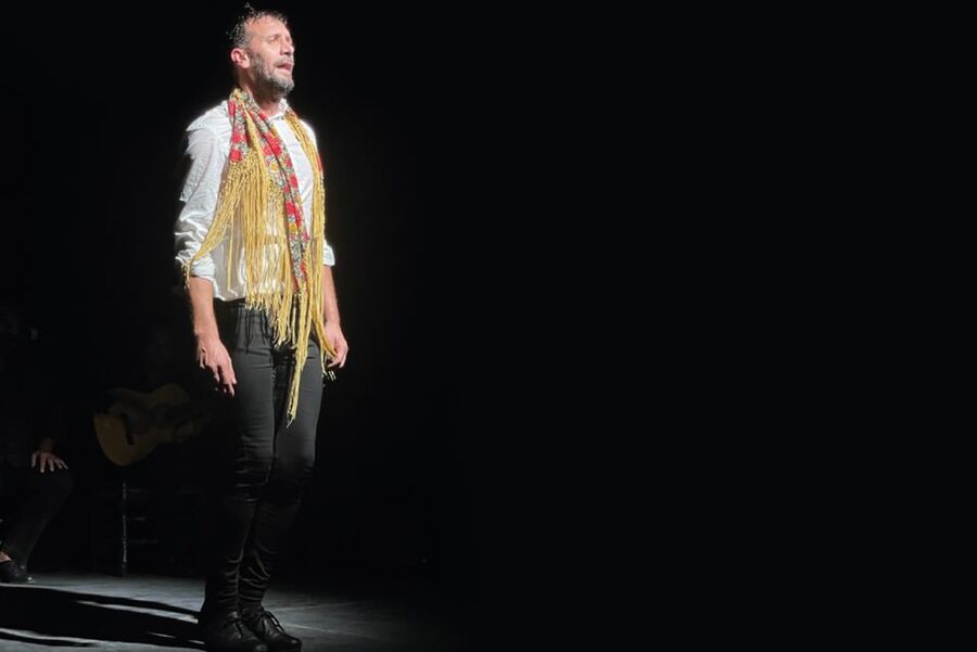 Granada: Albaicín & Sacromonte Walking Tour & Flamenco Show - Who This Tour Suits Best (and Who Should Skip It)