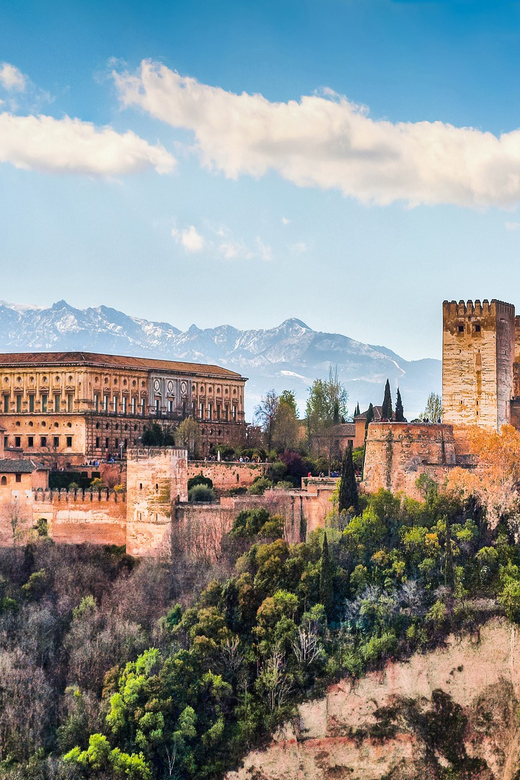 Granada: Alhambra and Nasrid Palaces Private Guide Tour - Nasrid Palaces: where the decoration tells the story