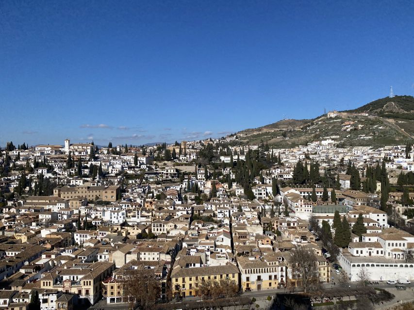 Granada: Alhambra & Generalife Fast-Track Guided Tour - Who Should Book This Tour (and Who Might Skip It)