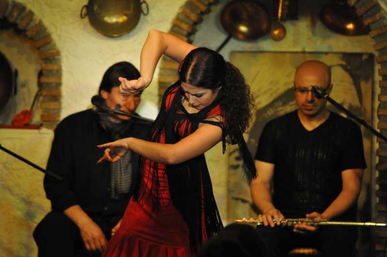 Granada: Alhambra Guided Tour and Flamenco Show - Guides, language, and hearing the story