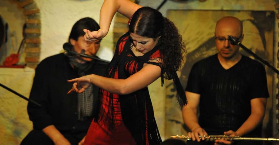 Granada: Alhambra Guided Tour and Flamenco Show - Who this tour suits best
