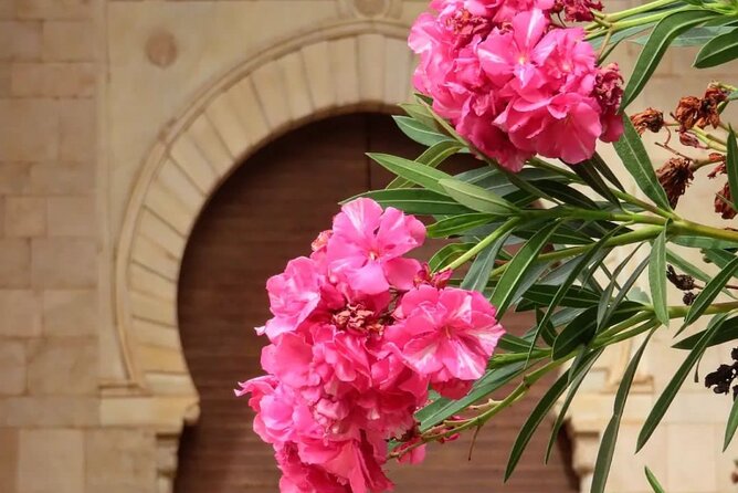 Granada : Alhambra Prestige Group Tour (VIP tickets included) - Timing Tips That Actually Help Inside the Alhambra