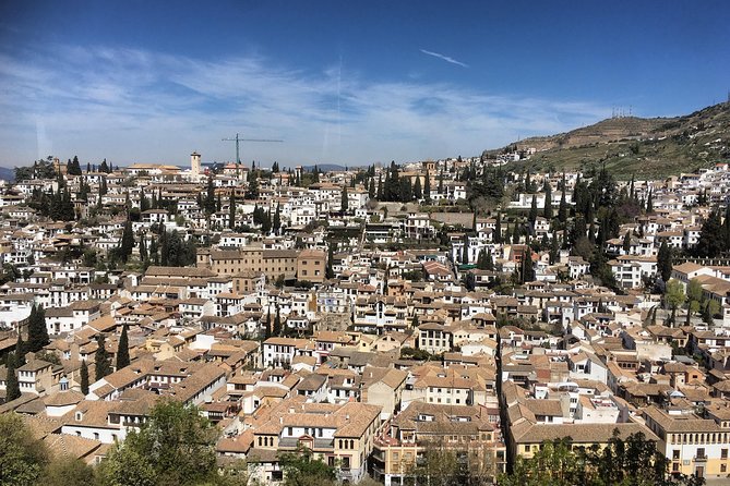 Granada and Albaicin: Wine and Tapas Tour - Who this tour is best for (and who should skip it)