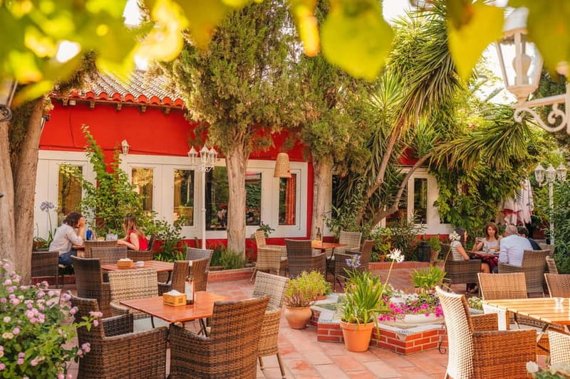 Granada: Dinner with Paella on a Terrace in the Albayzín and Live Flamenco - Drinks and the budget shock: read the room before you order