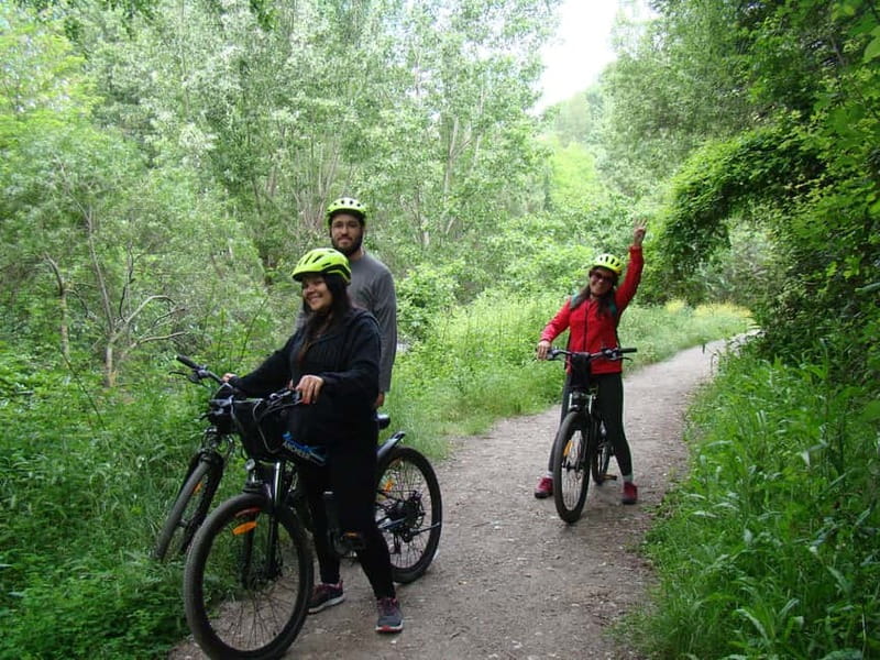 Granada: E-Bike Adventure on the Old Sierra Nevada Tramway - The guided ride through chestnut groves and the Genil River