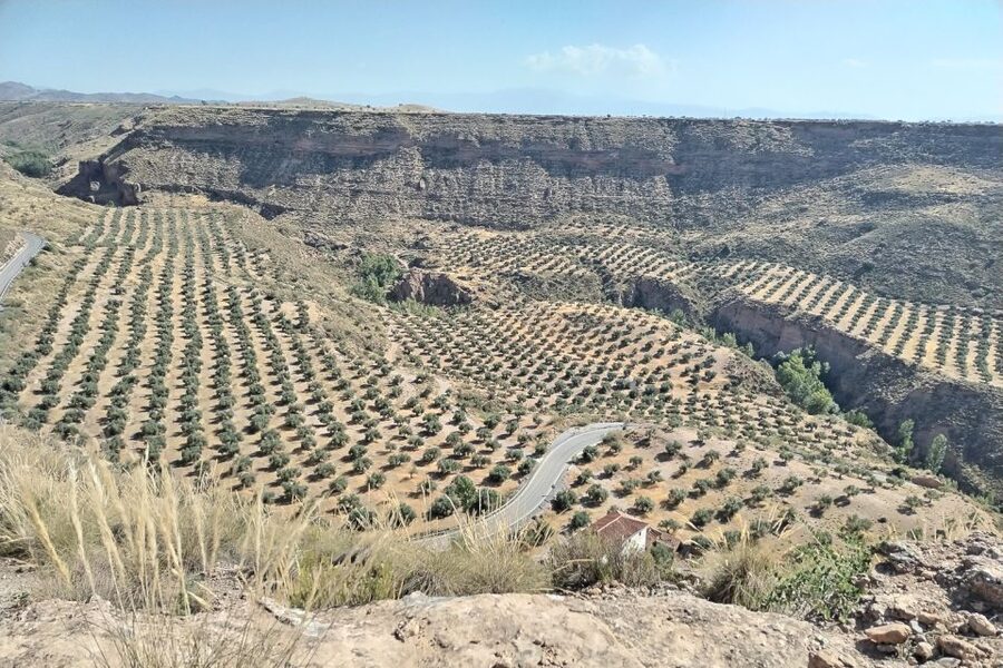 Granada: End of the World Viewpoints 4x4 Tour in the Geopark - From Guadix to Paulenca: the Drive That Sets the Geopark Story