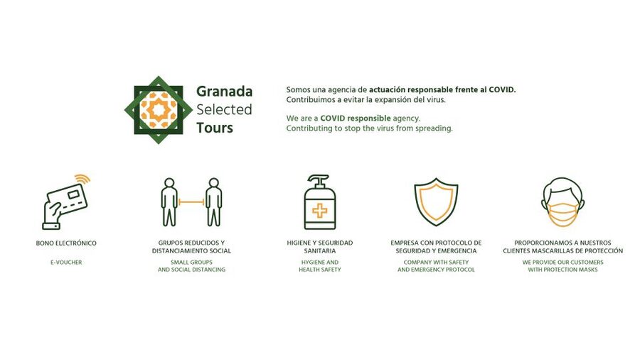 Granada: Fast-Track Alhambra & Nasrid Palaces Guided Tour - Fast-Track Entry Means You Spend Less Time Waiting