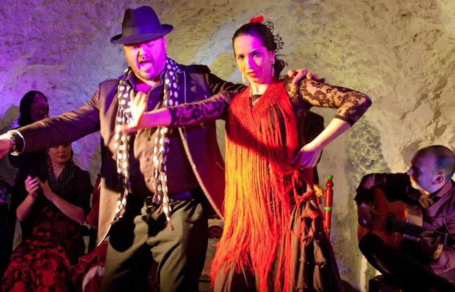 Granada: Flamenco Show at Templo del Flamenco with Drink - Who this Granada flamenco cave show is best for