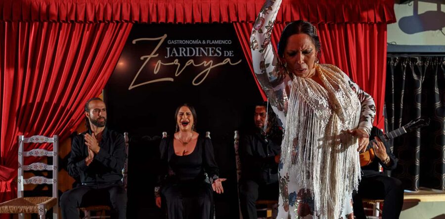 Granada: Flamenco Show in Albayzín - Jardines de Zoraya - What You’ll Notice During Flamenco: Emotion, Rhythm, and Storytelling