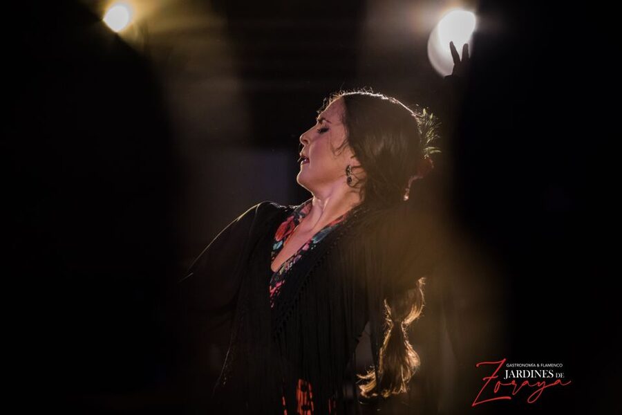 Granada: Flamenco Show in Albayzín - Jardines de Zoraya - How the Show Works: Soleá, Alegría, and Real Tempo Changes