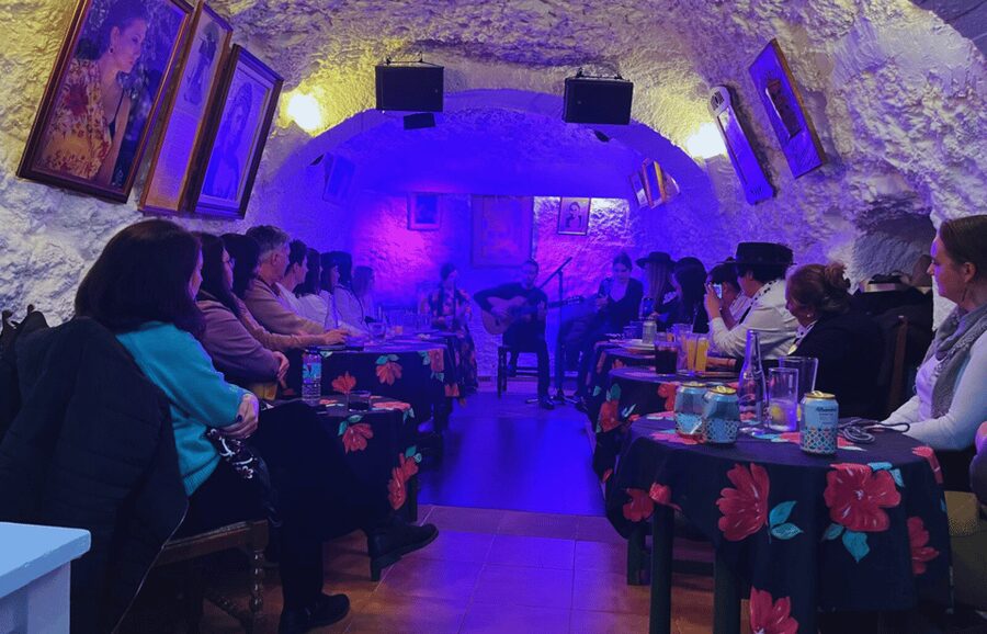 Granada: Flamenco Show in the Cave LA FARAONA - Who should book this flamenco cave show (and who might hesitate)