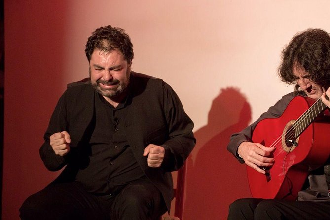 Granada Flamenco & Tapas Tour - Price and value: why $90-ish can make sense here