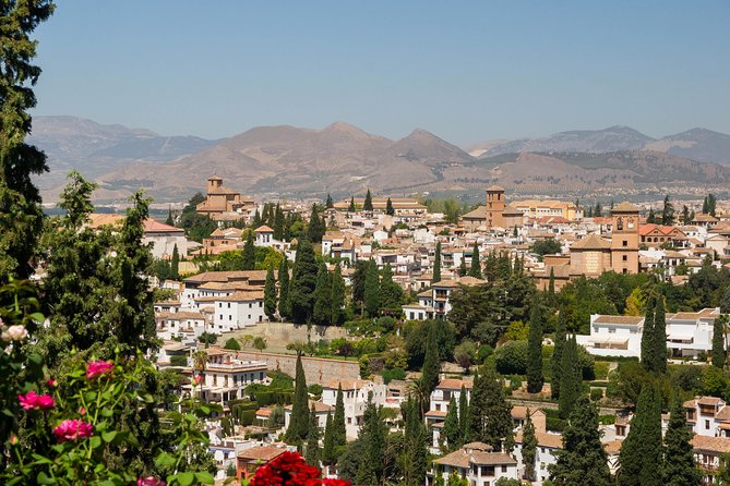 Granada full day: La alhambra completa + el Albaicin y Sacromonte - Entering the Alhambra without the queue headache
