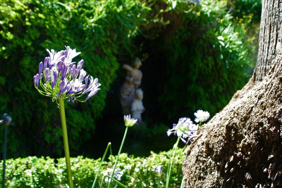 Granada: Gardens of Carmenes Guided Tour - Carmen de los Mártires: Baroque Garden Art and an English-Garden Pond