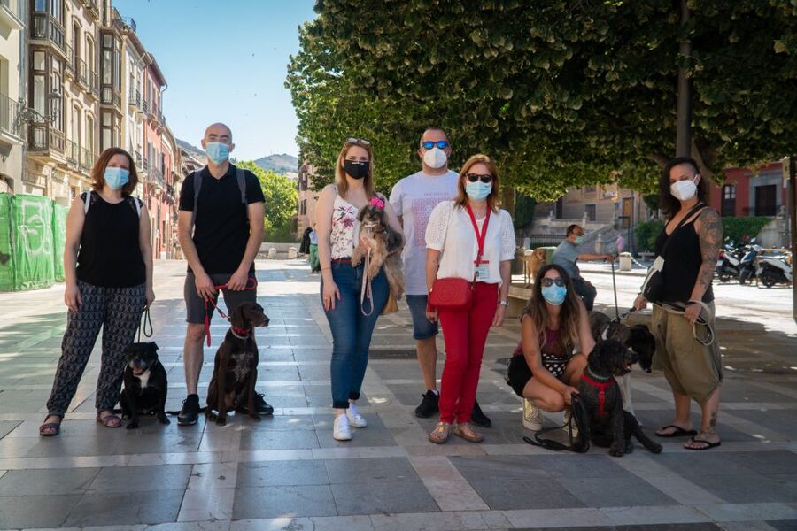 Granada: Guided Albaicín Visit with Pets - Plaza de San Nicolás: your Alhambra viewpoint with story context