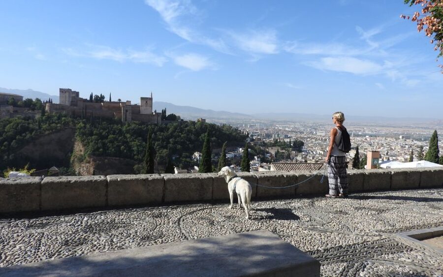 Granada: Guided Albaicín Visit with Pets - Paseo de los Tristes: the walking break with big emotional scenery