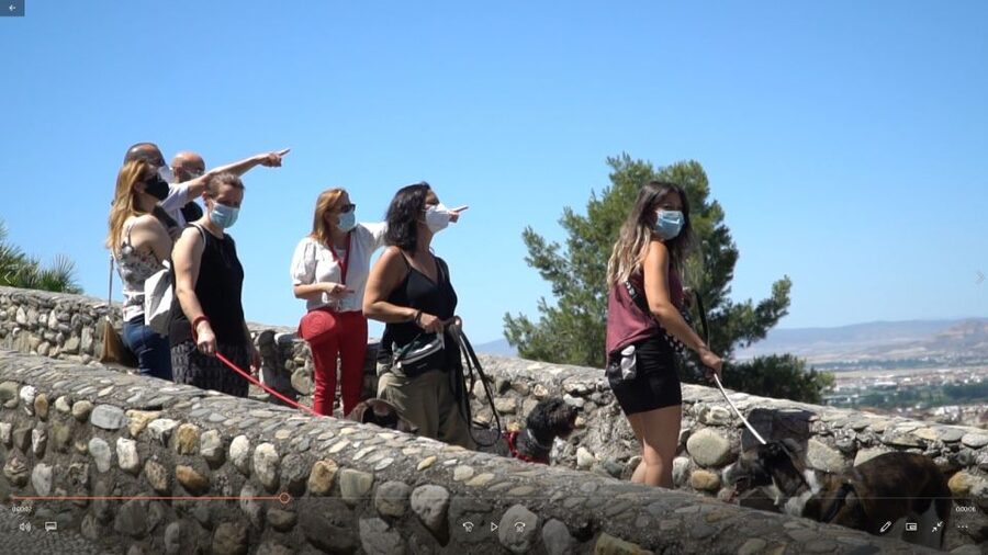 Granada: Guided Albaicín Visit with Pets - The audiovisual projection: why it’s a smart reset