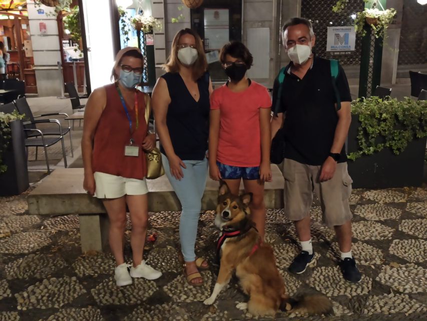 Granada: Guided Albaicín Visit with Pets - Meeting point and the Plaza Nueva start you’ll recognize quickly