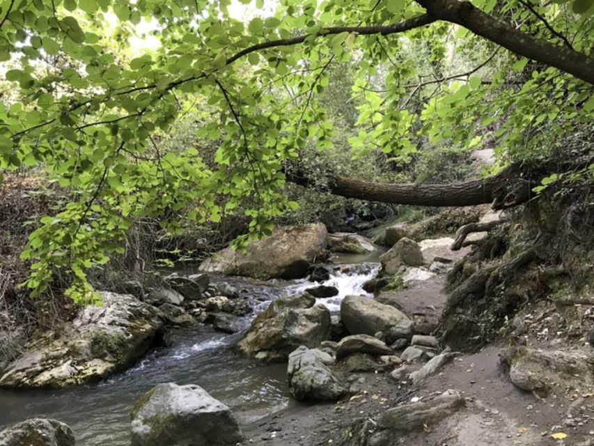 Granada: Guided Day Hike in Los Cahorros de Monachil - Along the Monachil River: where the walk becomes the atmosphere