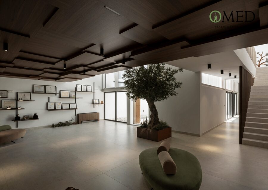 Granada in EVOO: Guided tour and unique sensorial tasting - Key things you’ll notice at OMED