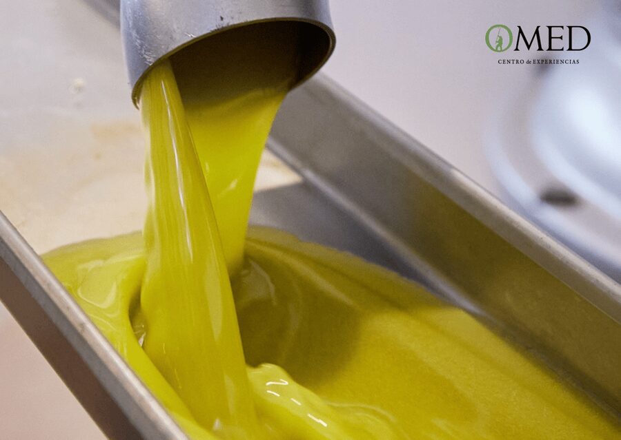 Granada in EVOO: Olive grove guided tour and sensory tasting - What to do before and after the tour