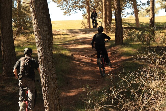 Granada: Nature, Wildlife and Authentic Villages E-bike Tour - Key things you’ll notice on this Granada-to-Sierra Nevada e-bike tour