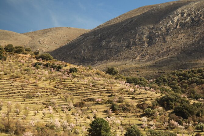 Granada: Nature, Wildlife and Authentic Villages E-bike Tour - Province of Granada riding: longer views, more passes, and a change in rhythm