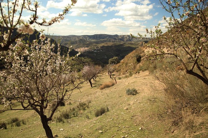 Granada: Nature, Wildlife and Authentic Villages E-bike Tour - Passing lakes, rivers, and small villages without the tourist filter